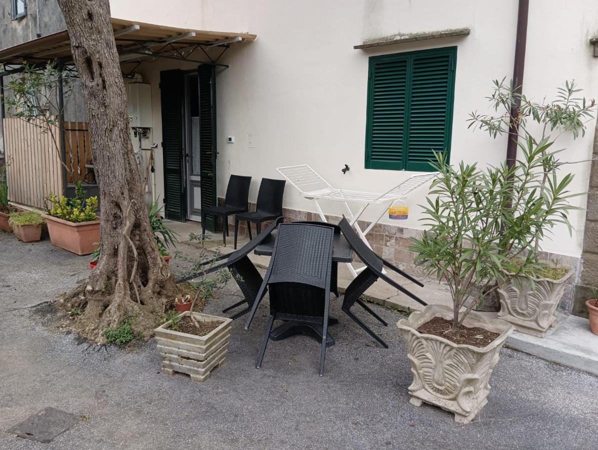 La Casina Fra Gli Olivi Villa Massarosa Exterior photo